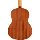 Cordoba C5 Sp Classical Acousticelectric Guitar Natural