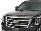 Weathertech Low Profile Hood Protector For - Ford F-150