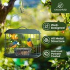 Bluebird Feeders For Outdoors Hanging
