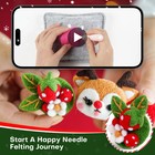 Christmas Needle Felting Kit  Wizardi Diy Wool Craft Kit F07n8-z-13