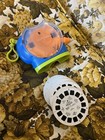 2002 Fisher Price View Master 30 Reels Disney Pooh Bear Big Blue House Bugs