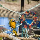  Parrot Swing Toy Rope Hanging Ring For Parrots Bird Cotton Swings Toys