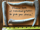 Fresh Elk Antler Dog Chews Treats Small-med Tips Bones Natural Organic Untreated