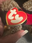 Ty Beanie Baby Bugsy  Always A Lady Ladybug Bear 1993 Attic Treasures