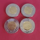2026 Canadian Toonie 30th Anniversary  2 Dollar Coin Ships Fast One Day Handle
