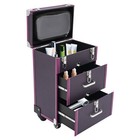 Professional Makeup Train Case Rolling Cosmetic Travel Organizer Suitcase