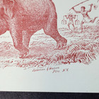 C1890s Tetley Tea Elephant Victorian Trade Card Antique 19th Century Advertising