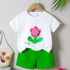 Newborn Baby Girl Summer Clothes 3d Floral Short Sleeve Tops   Shorts Outfits