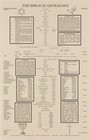 The Biblical Genealogy Chart  Family Tree From Adam To Jesus  Books Of The Bi   