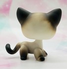 Littlest Pet Shop Authentic   5 White Black Siamese Cat Blue Eyes