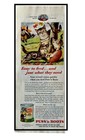 Vtg Puss  n Boots Cat Food Print Ad Cats Playing Football In The Fall 1953
