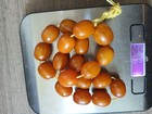 Antique Germany Bakelite  Prayer Beads  119 Garm 19 Beads 