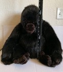Vintage Dakin Gorilla Ape Plush Toy 1985 Realistic Stuffed Animal Collectible