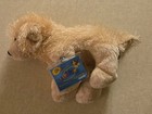 Webkinz Plush Golden Retriever Puppy Dog With Code Hm010