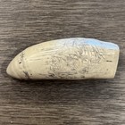 Historic   Brandenburg  5 1 2    Scrimshaw Sperm Whale Tooth Resin Reproduction