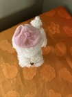 Vintage   Dream Pets R Dakin And Co  White Poodle Hard Plush With Pink Hat 