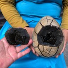 7 23lb Natural Septarian Dragon Egg Geode With Lid Reiki Energy Healing Crystal