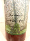 Wen Chaz Dean Summer Melon Mint 32oz Cleansing Conditioner New With Pump