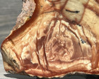 Morrisonite Jasper Face Polished Display Slab Collector Rock Oregon