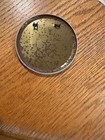 1965 Houghton Lake Tip Up Town Usa Button