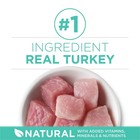 Purina One Sensitive Skin   Stomach Natural Turkey Flavor Dry Cat Food - 7lbs