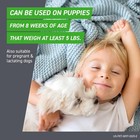 Frontline Plus Flea And Tick Treatment For Small Dogs Upto 5 To 22 Lbs  6 Doses