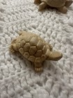 Lot Of 8 Hand Carved Stone Turtle Figurines Made In Mexico Alabaster Onyx
