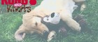 Kong Wild Knots Bear Dog Toy - Light Brown Minimal Stuffing For Less Mess