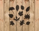 Leaves Stencil  Reusable Stencil For Painting  783
