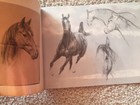 War Horse  Fyc Awards Photo Book Pressbook 