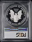 2019-w American Silver Eagle - Pcgs Pr70dcam - Premier Label -    coingiants   
