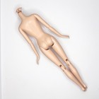 Barbie Doll Body Divergent Tris Articulated Pivotal Fashionistas Belly Button
