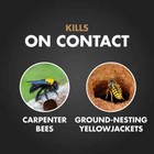 Spectracide Carpenter Bee And Yellow Jacket Insect Killer 16-oz Foaming Aerosol