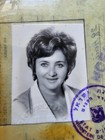 Lot Of 3 Israeli Travel Documents     Expired     For Props   Theatre Use Free Ship