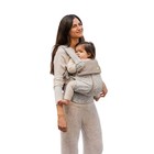 Lillebaby Complete All Seasons Baby Carrier - Moonbeam