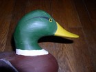 Upper Bay Havre De Grace md mallard signed By All 4 Jobes Family rare Qvc Tv  96