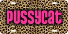Personalized Custom Cheetah Fur License Plate Can Add Name Initials Phrase Etc 