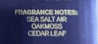 Deep Ocean Lot Of 3 Shower Gel Wash Face   Body Bath And Body Works Mens  New