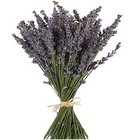  Natural Lavender Bundles  Freshly Harvested Dried Lavender Bunch 400  Stems