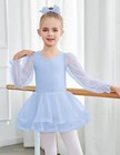  Ballet Leotards For Girls Mesh Long Sleeve Toddler Tutu Dress Dance 3-4t Blue