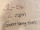 Sweet Young Foxes Orig Ss Movie Poster 25x39 Sexploitation Hyapatia Lee 
