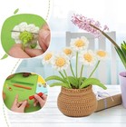Diy Crochet Daisy Kit For Beginners Handmade Yarn Flower Bouquet With Pot
