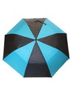Automatic Open Two Person Rain Umbrella Black Teal