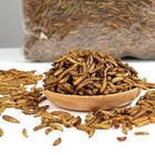 Bulk Dried Mealworms Non-gmo For Wild Birds Food Blue Bird Chicken Hen Treat Lot