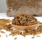 Lot Bulk Dried Mealworms Non-gmo For Wild Birds Food Blue Bird Chicken Hen Treat