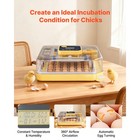 Uimoso 48 Egg Incubator With Auto-turning  Temperature   Humidity Control