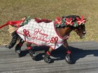 Breyer Christmas Holiday Horse 2020 Yuletide Greetings Shannondell