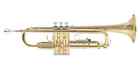 Yamaha Ytr-2330 Trumpet Standard Gold Bb W case Tracking New
