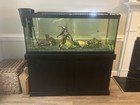 75 Gallon Aquarium With Stand  Hood  Lights  And Filter   decor fish Optional 