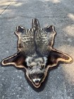 Rarely Seen  African Civet Fur skin hide  double Felted Rug Taxidermy Africa